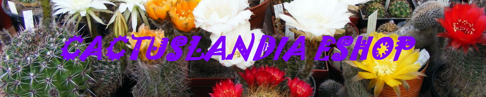 e-shop zdarma
